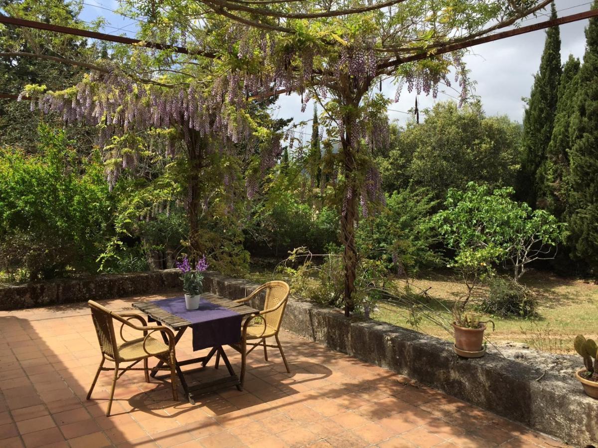 Trui Teresa Chalet Pollenca